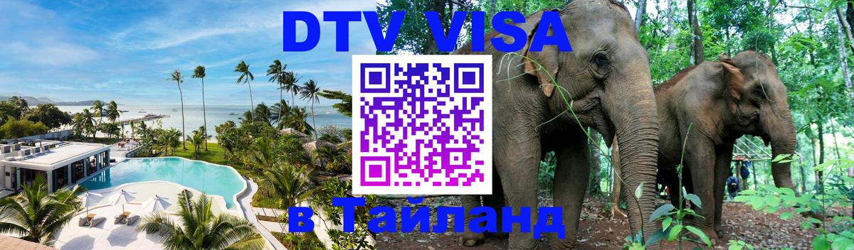 Оформление DTV визы под ключ: стоимость и тарифы, только загранпаспорт - Иркутск 